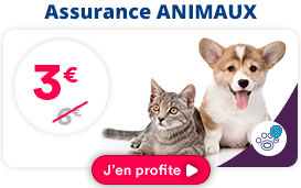 promo-we139-21062024-animaux