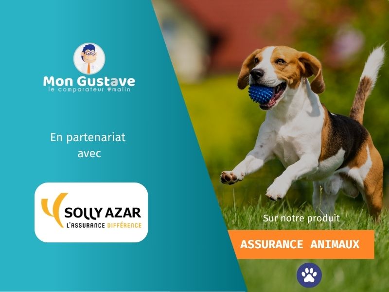 Partenariat MG-Solly Azar
