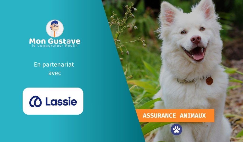 Assurance animaux : Lassie s’associe à Mon Gustave pour renforcer sa présence digitale