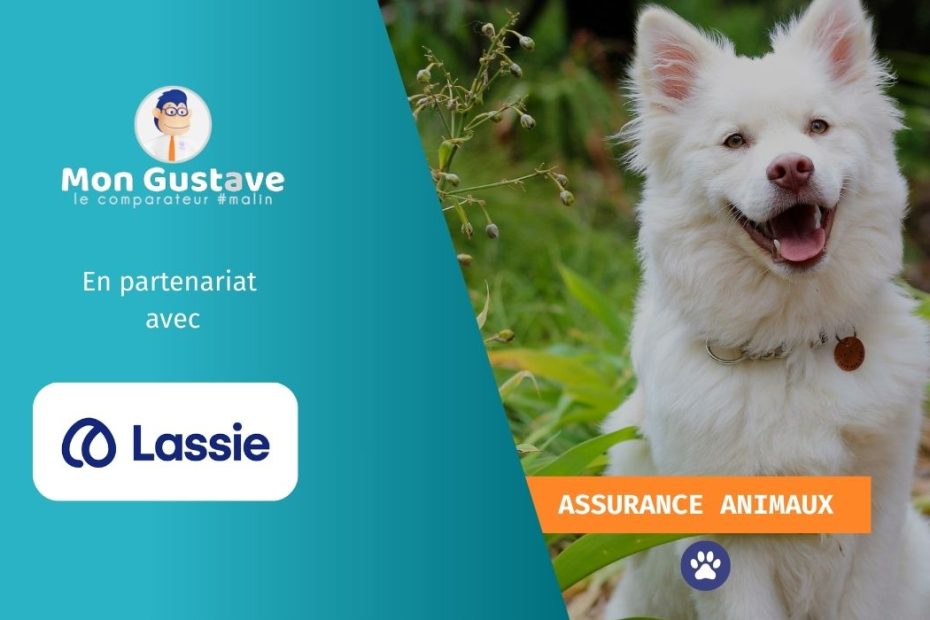 Lassie Assurance booste ses ventes grâce à Mon Gustave
